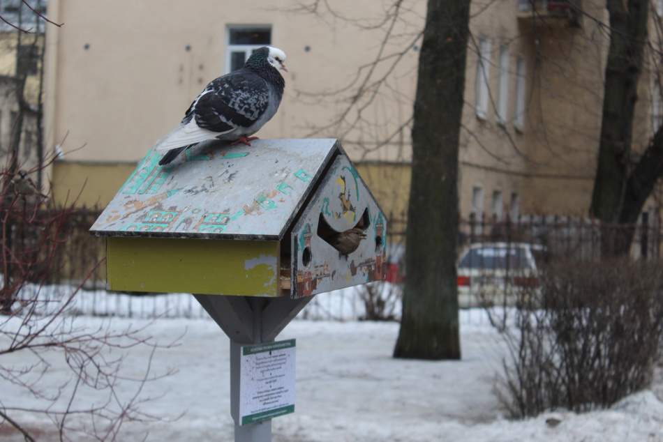 Американец поделился, за что ценит жизнь в России и русскую зиму